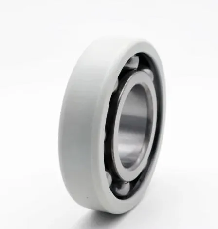 6311m/C3VL0241 Electrical Insulation Bearing