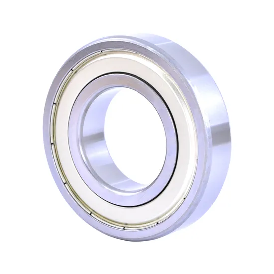 Bdl-16084-16088-16092-16096-Deep-Groove-Ball-Bearings-for-Plastic-Machinery