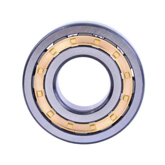 Bdl-Cylindrical-Roller-Bearing-NF305-Cylindrical-Roller-Bearing-for-Electric-Generator