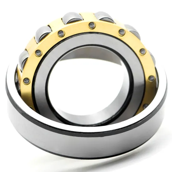 Bdl-Cylindrical-Roller-Bearing-Nj305etn1-Cylindrical-Roller-Bearing-for-Vibrating-Screen