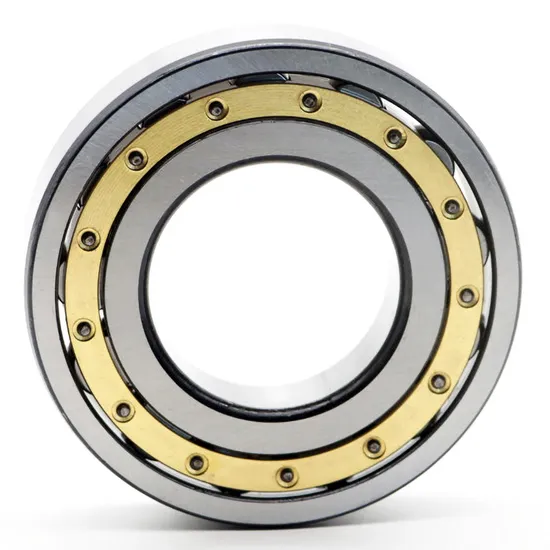 Bdl-High-Precision-Double-Row-Cylindrical-Roller-Bearing-Nn3007K-Nn3008K-Nn3009K-P5-P4-W33