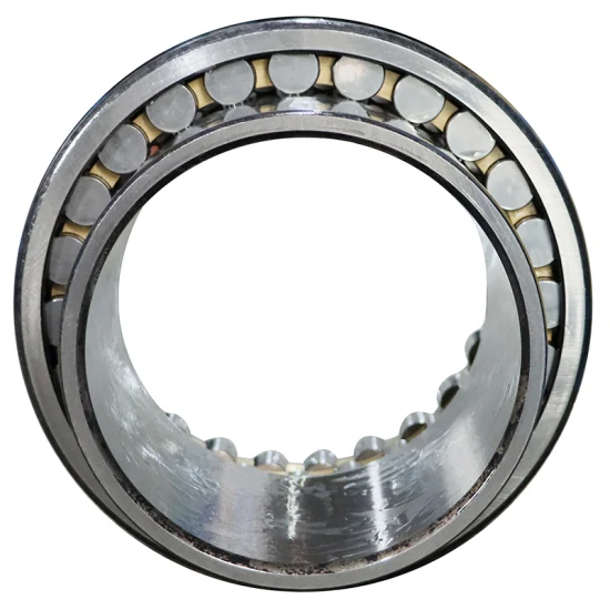 Bdl-High-Precision-Double-Row-Cylindrical-Roller-Bearing-Nn3010K-Nn3011K-Nn3012K-P5-P4-W33