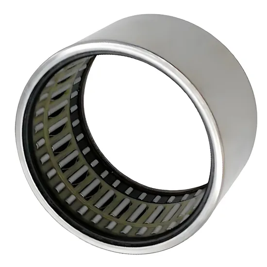 Bdl-Needle-Roller-Bearing-Nk19-16-Nk19-20-Nk20-16-Needle-Bearings