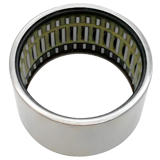 Bdl-Needle-Roller-Bearing-Nk19-16-Nk19-20-Nk20-16-Needle-Bearings