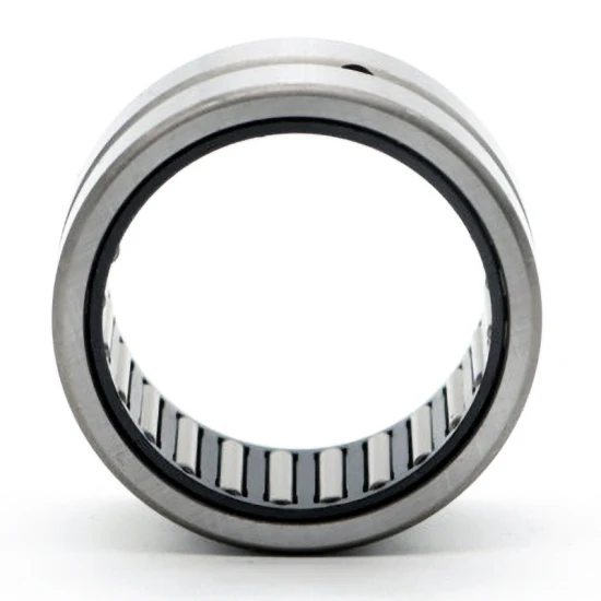 Bdl-Needle-Roller-Bearing-Nk40-20-Nk40-30-Nk42-20-Needle-Bearings