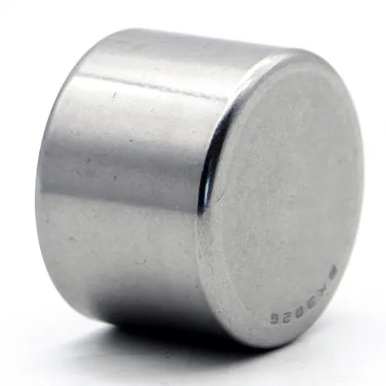 Bdl-Needle-Roller-Bearing-Nk45-20-Nk45-30-Nk50-25-Needle-Bearings