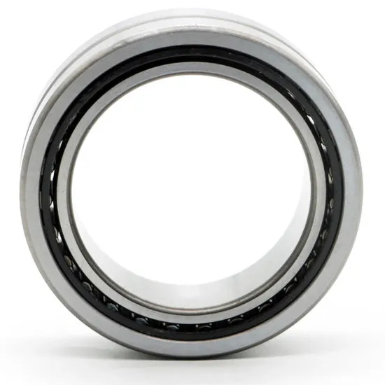 Bdl RNA6909/10/11 Needle Roller Bearings High Load Capacity
