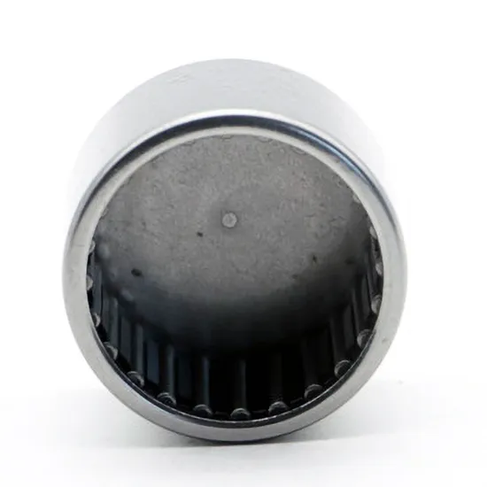 Bdl RNA6915/16/17 Needle Roller Bearings High Load Capacity