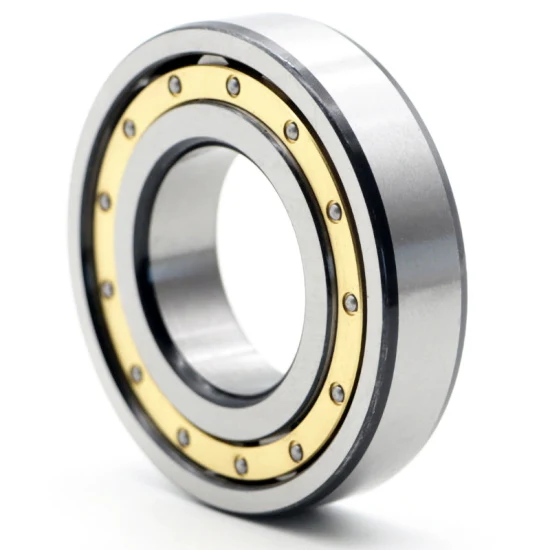 Cylindrical Roller Bearings NU1005–NU1008, High-Load, Precision-Machined