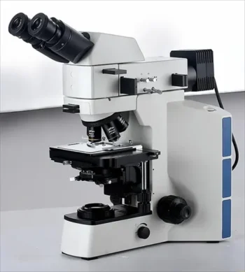 ZJU 6202-1/2 Heavy Duty Ball Bearing for Machine Tools