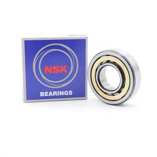 NSK-NTN-Roller-Bearing-Nup217em-Nup218em-Nup219em-Cylindrical-Roller-Bearing