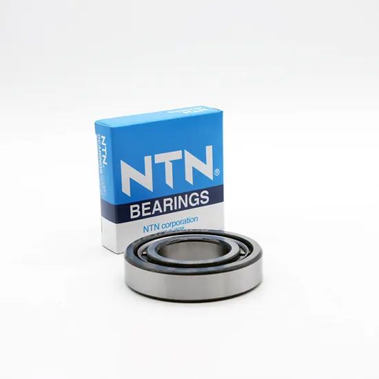 NTN-Koyo-Timken-Roller-Bearing-N303em-N304em-N305em-Cylindrical-Roller-Bearing