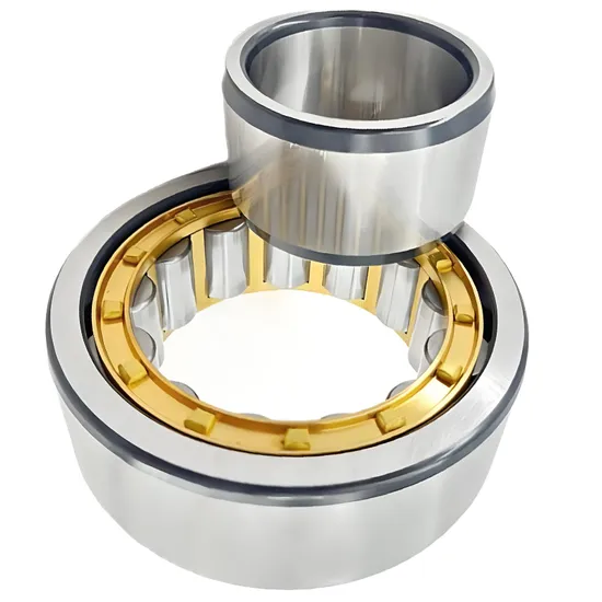Nj1018-Nj218e-Nj2218e-Nj318e-Nj2318-Nj418-Bearing-Cylindrical-Roller-Bearing