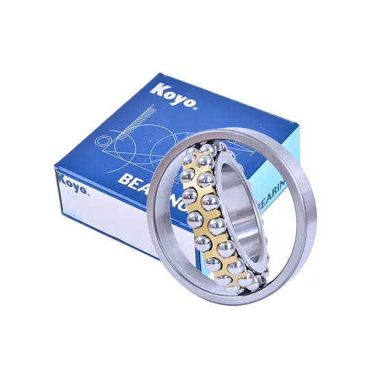 Self-Aligning-Ball-Bearings-NSK-NTN-IKO-Koyo-NACHI-Bdl-1309-1309tni-for-Sugar-and-Other-Industries-and-General-Machinery-
