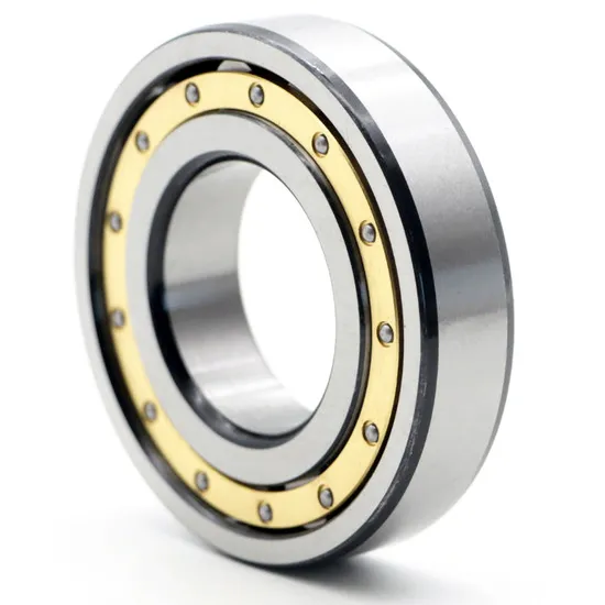 Single-Row-Cylindrical-Roller-Bearing-Nu1010m-Nu1012m-Nu1014m-Nu1016m-Nu1018m