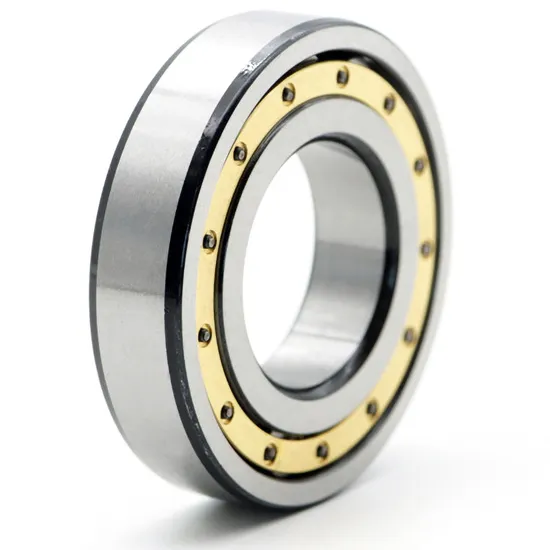 Single-Row-Cylindrical-Roller-Bearing-Nu1010m-Nu1012m-Nu1014m-Nu1016m-Nu1018m