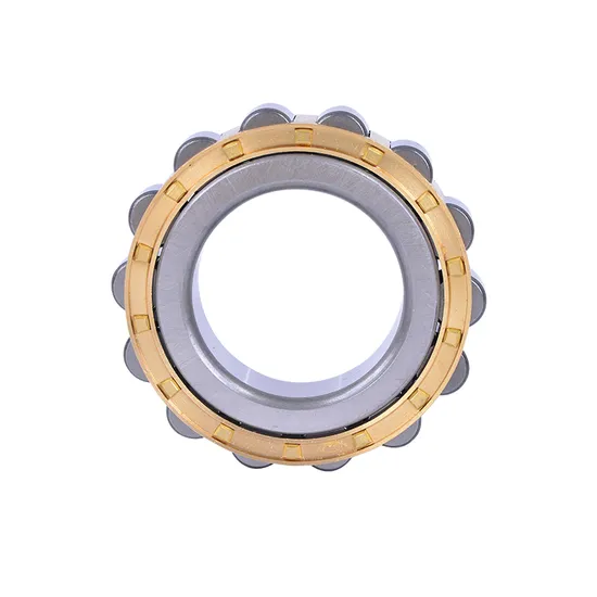 Single-Row-Cylindrical-Roller-Bearing-Nu2210e-Nu310e-Nu2310e-Nu410-Nu1011-Nu211e-Nu2211e-Nu311e-Nu2311e-Nu411-NSK-NTN-Koyo-Bearing