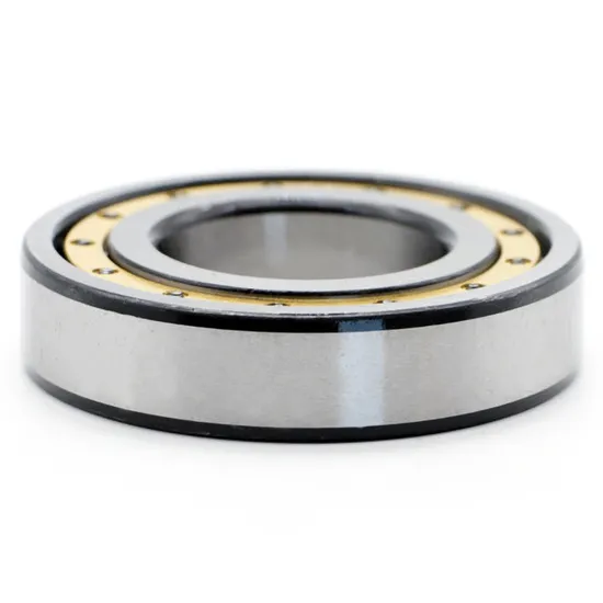 Single-Row-Cylindrical-Roller-Bearing-Nu2210e-Nu310e-Nu2310e-Nu410-Nu1011-Nu211e-Nu2211e-Nu311e-Nu2311e-Nu411-NSK-NTN-Koyo-Bearing