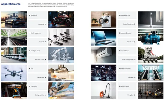 Zju-Bearing-Good-Quality-Fabricado-En-China-Low-Noise-6305-6307-6308-6309-C3-Automotive-Deep-Groove-Ball-Bearings-for-Auto-Parts